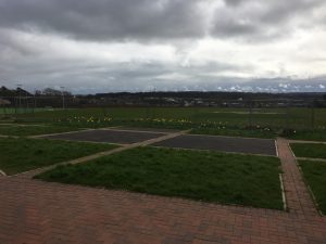 Daffodils Parc Derwen, Coity